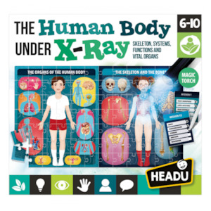 30 Mins: The Human Body under X-Ray