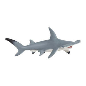 Hammerhead Shark
