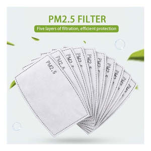 Premium Face Mask Filters, 10pk, Adult