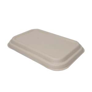 Food Containers: Sugarcane Lunch Box Lid