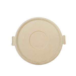 Bowls And Lids: 196mm Sugarcane Bowl Lid