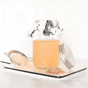 Milk Yoghurt Cheese: Organic Ginger beer kit