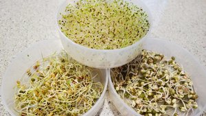 Sweet & Spicy (Organic) seed mix: 100gm