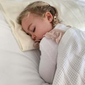 Toddler: Organic Cotton & Hemp Toddler Pillow