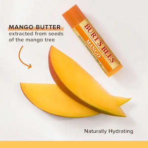Burts Bees: Burts Bees Lip Balm Mango