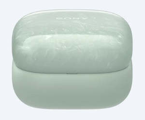 Home Entertainment: Headphone Charging Case (Green) - A5071573A