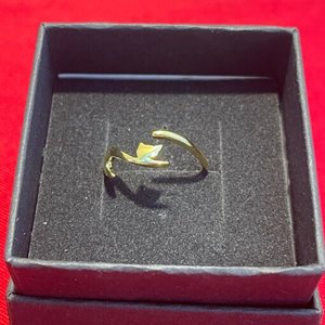 Products: Sterling Silver Ring – Slim Cat - Neko Ngeru