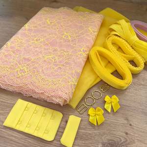 All: Ray of Sunshine - Lace Bra ~ 'Nellie x You' Kit Collab (base price)