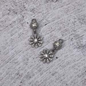 Charms ~ Assorted (pair)