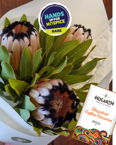 Fresh Flowers: Protea Trio with Chocs
