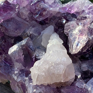 Products: Health Enhancing