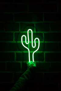 Home Decor Neon Signs: Cactus - LED Neon Sign