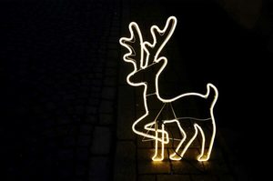 Reindeer - Reindeer Neon