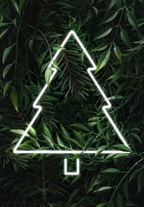 Products: Christmas Tree - Check out this little cute Christmas Tree