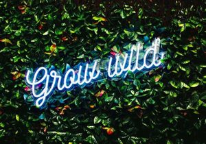 Grow Wild - Grow Wild - Perfect for kids, or even adults