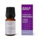 Absolute Essential Patchouli Oil