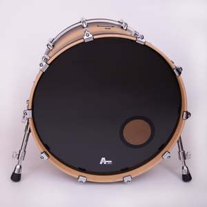 Drum Heads: Proflex1 (resso,ported)