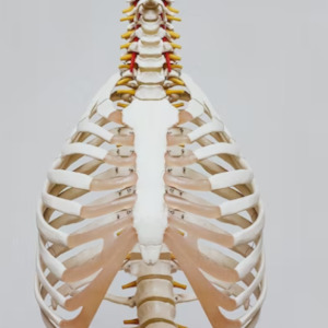 Neuro Tappies: Rib Pain Self Treatment