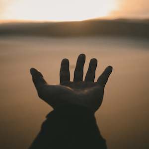 Scientific Hand Analysis: Hand Analysis Purpose Journey