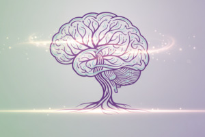 Holistic Health Session and More - 2 hours