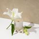 Christmas Lily Candle