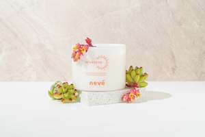 All: PRE ORDER | Sunstone