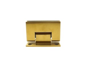 Products: Brushed Brass – Glass to Wall Shower Hinge