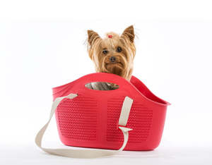 Frontpage: Bag Mia Pet