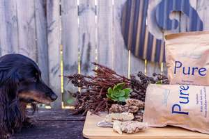 Dog And Cat Treats: Pure Treats for Dogs and Cats