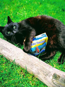 Frontpage: New Zealand Hoki Fish Treats 15gm