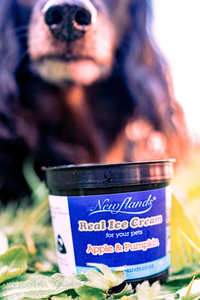 Newflands Naturally Better Pet Wellness: Ice Cream single serve to share with your pets