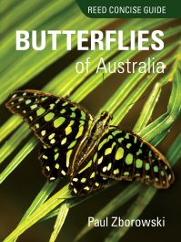 Reed Concise Guide to Butterflies of Australia
