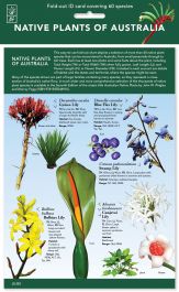 Products: Native Plants of Australia ID Chart