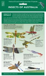 Products: Insects of Australia ID Chart