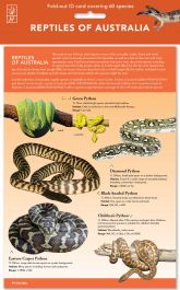 Products: Reptiles of Australia ID Chart