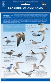 Seabirds of Australia