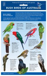 Products: Bush Birds of Australia