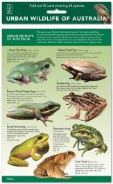 Products: Urban Wildlife of Australia
