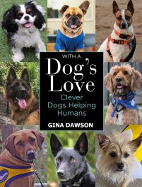 Products: With a Dog's Love