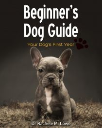 Products: Beginner's Dog Guide