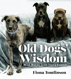 Old Dogs Wisdom
