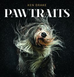 Mini Pawtraits