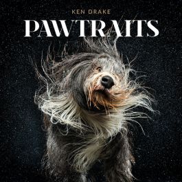 Products: Pawtraits