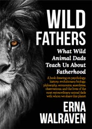 Products: Wild Fathers
