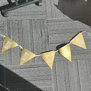 Products: Ockhams Reusable Bunting (1 x 5m string, assembly required)