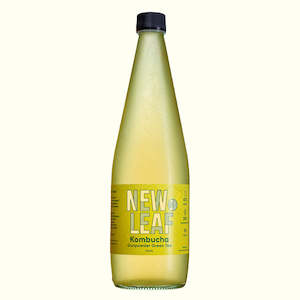 Frontpage: Gunpowder Green Tea Kombucha