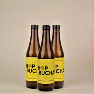 Products: Hopbucha Tasting 3-Pack