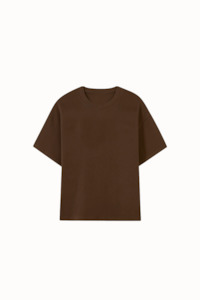 Products: The Plains T-Shirt V2 / Chestnut Brown