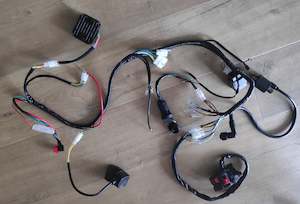 Go Kart wire harness twin plug CDI