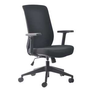 Ergonomic Office Chairs: Mondo Gene Mesh